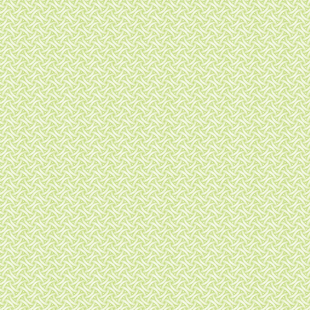 Y4915-18 Lime