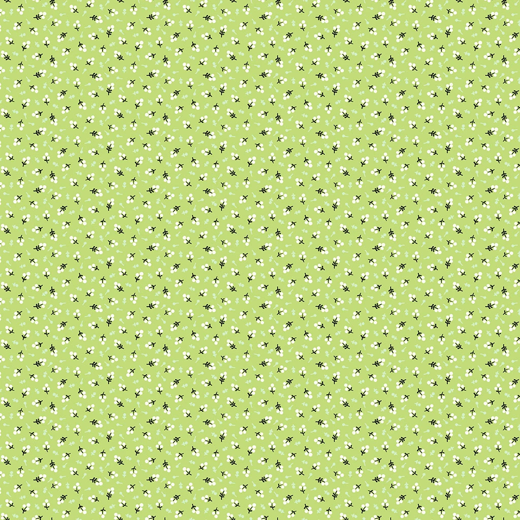 Y4917-18 Lime