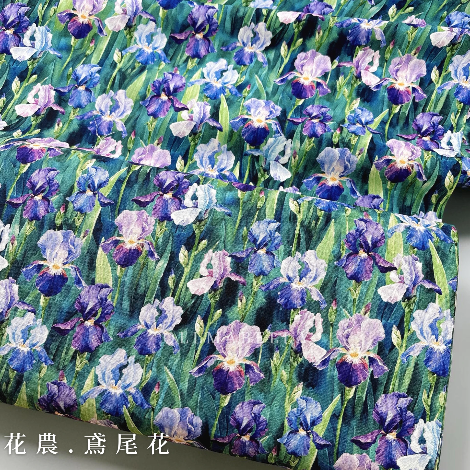 美國印花布｜花農–鳶尾花