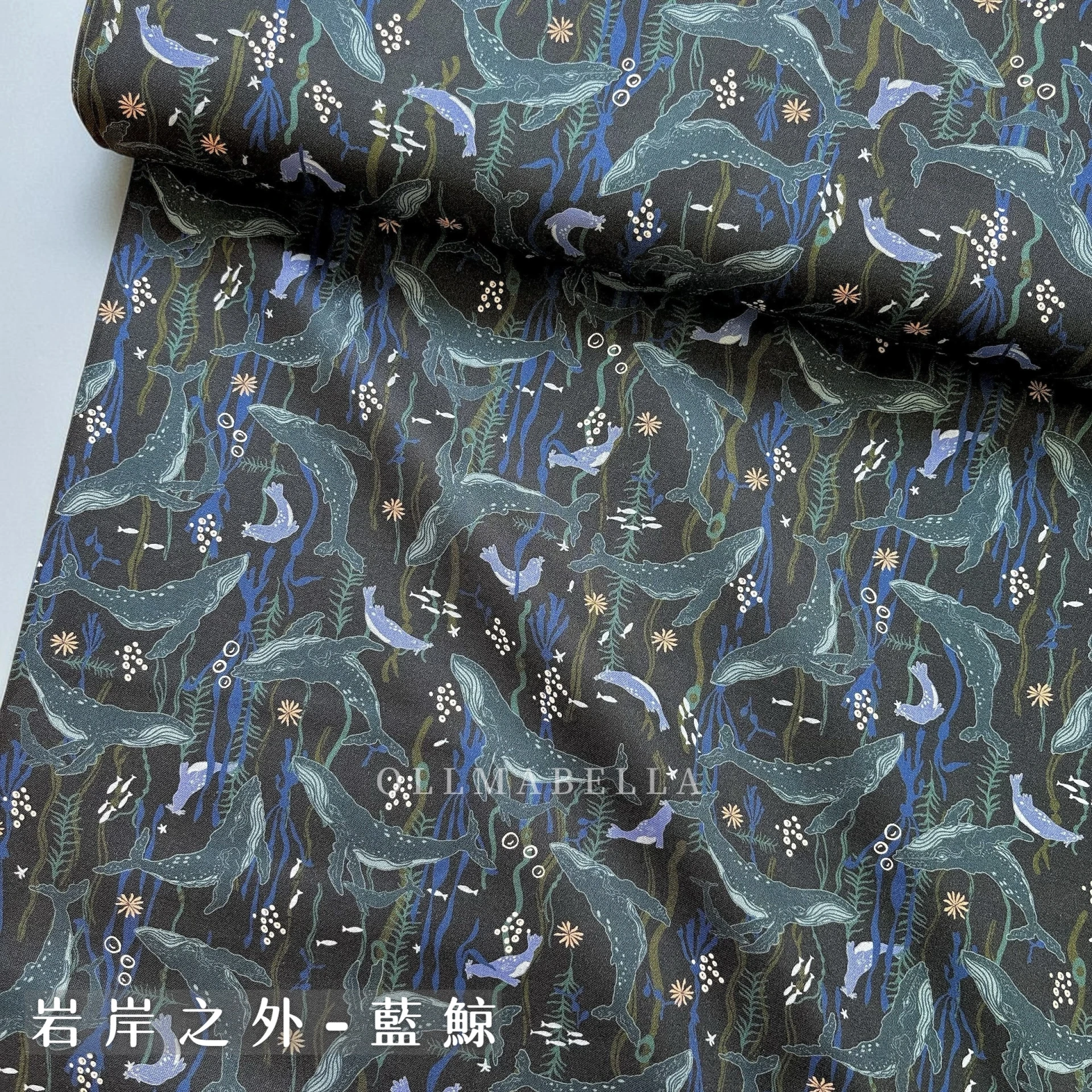 美國品牌印花棉布｜岩岸之外－藍鯨(2色)