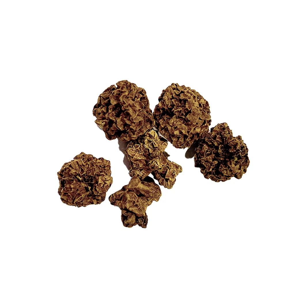 驕傲貓蟲癭果實罐裝 50g
