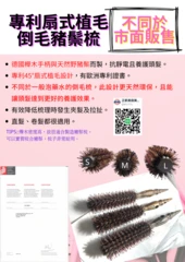 JS QUEEN專利扇式植毛倒毛豬鬃梳三種尺寸
