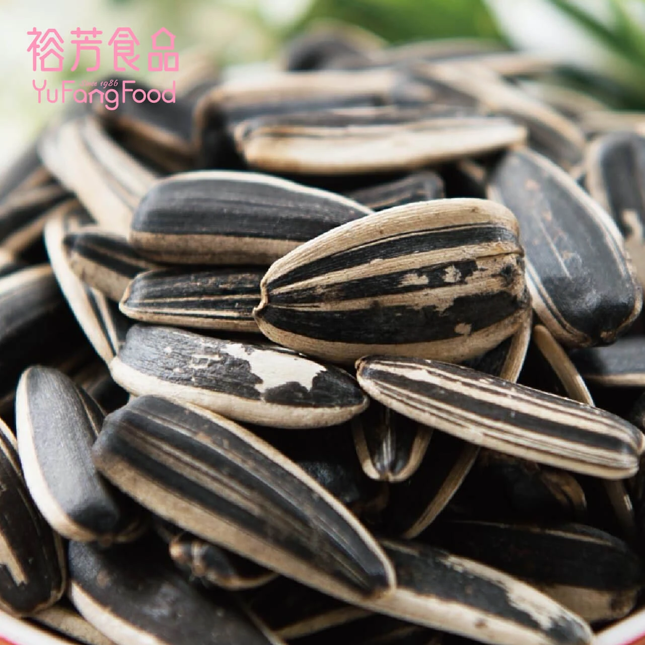 奶香葵花子(奶素)