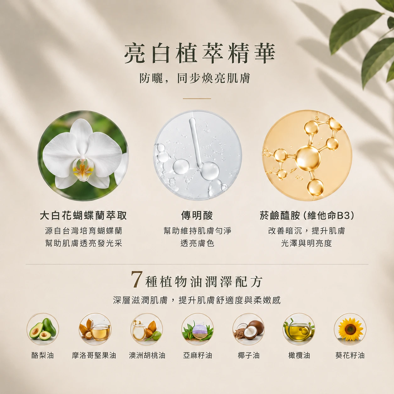 亮白植萃精華:大白花蝴蝶蘭萃、傳明酸、菸鹼醯胺