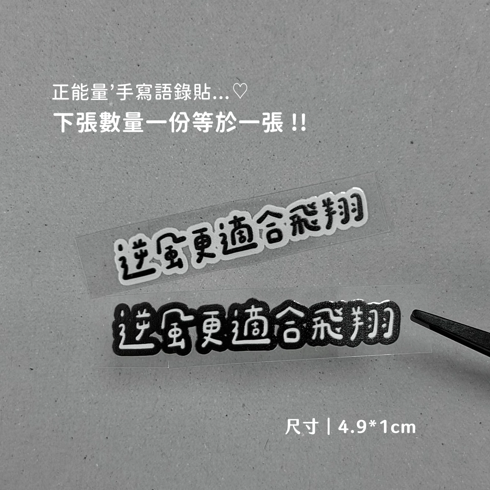 正能量B39︙逆風更適合飛翔