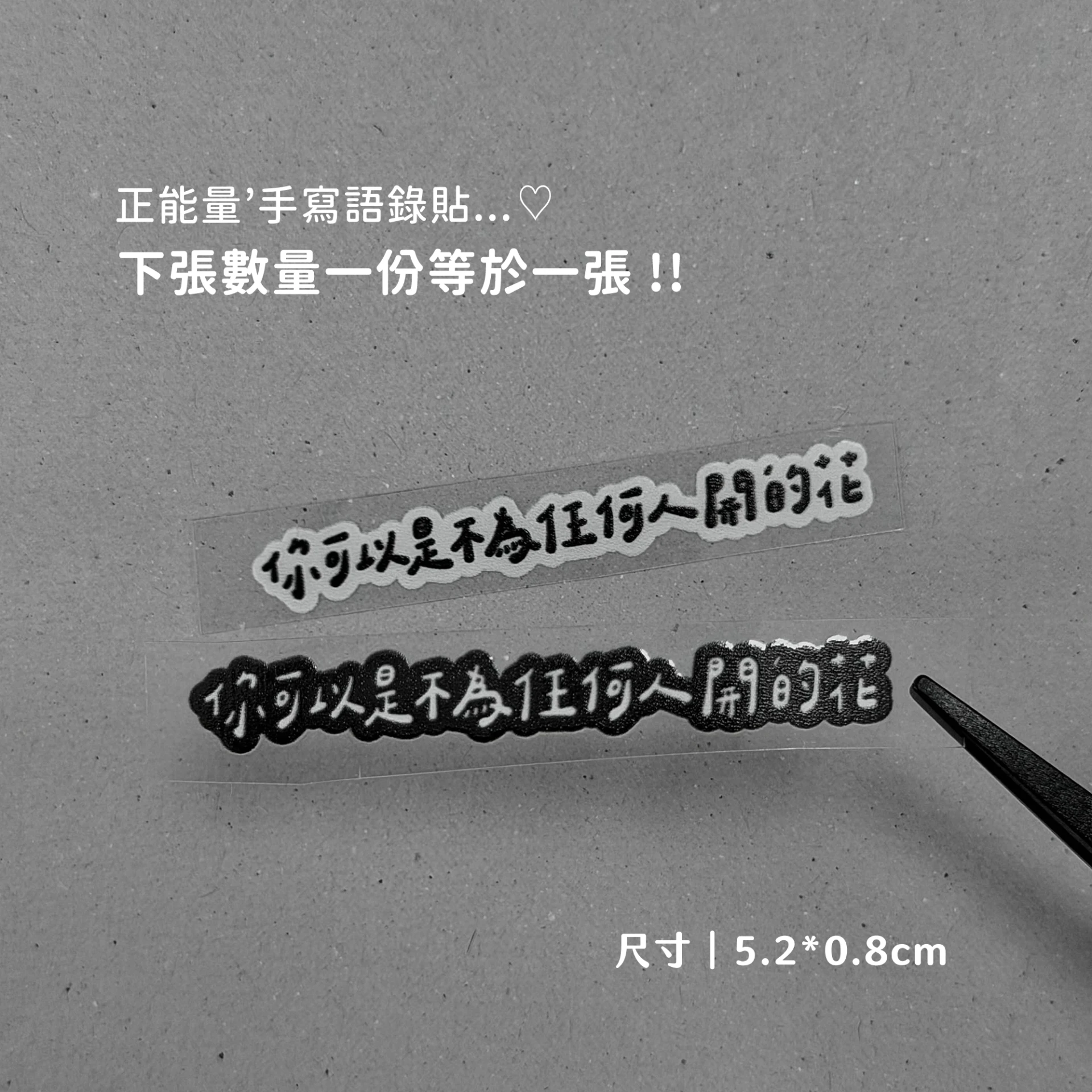正能量B20︙你可以是不為任何人開的花
