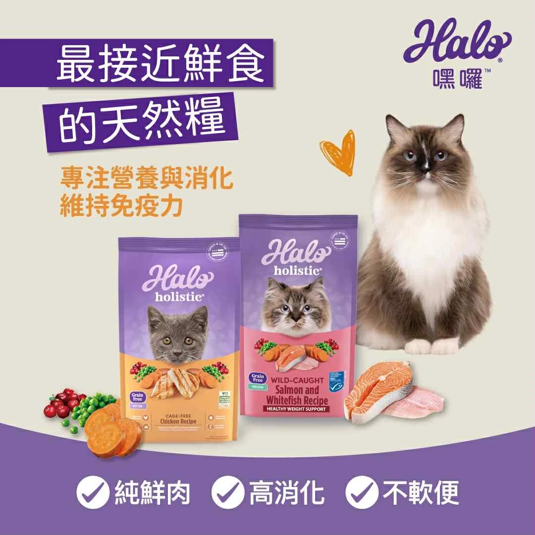 即期嘿囉Halo貓飼料效期2026/10月