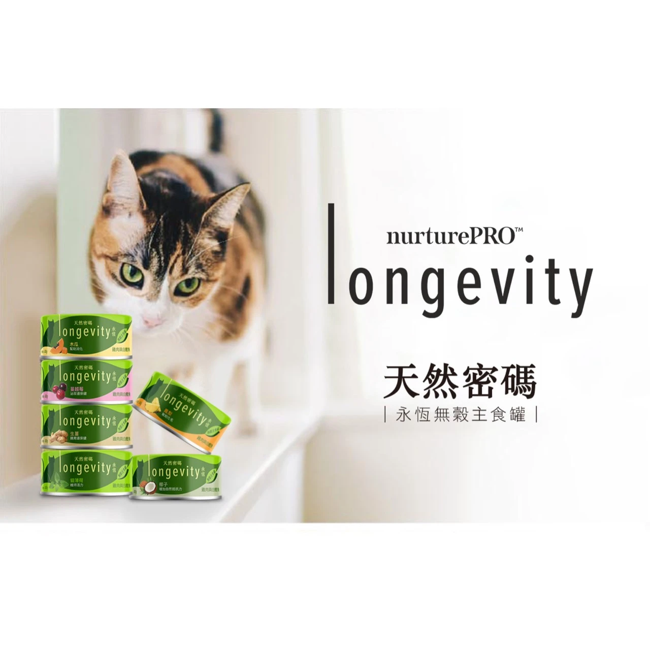 天然密碼主食罐 80g*24罐