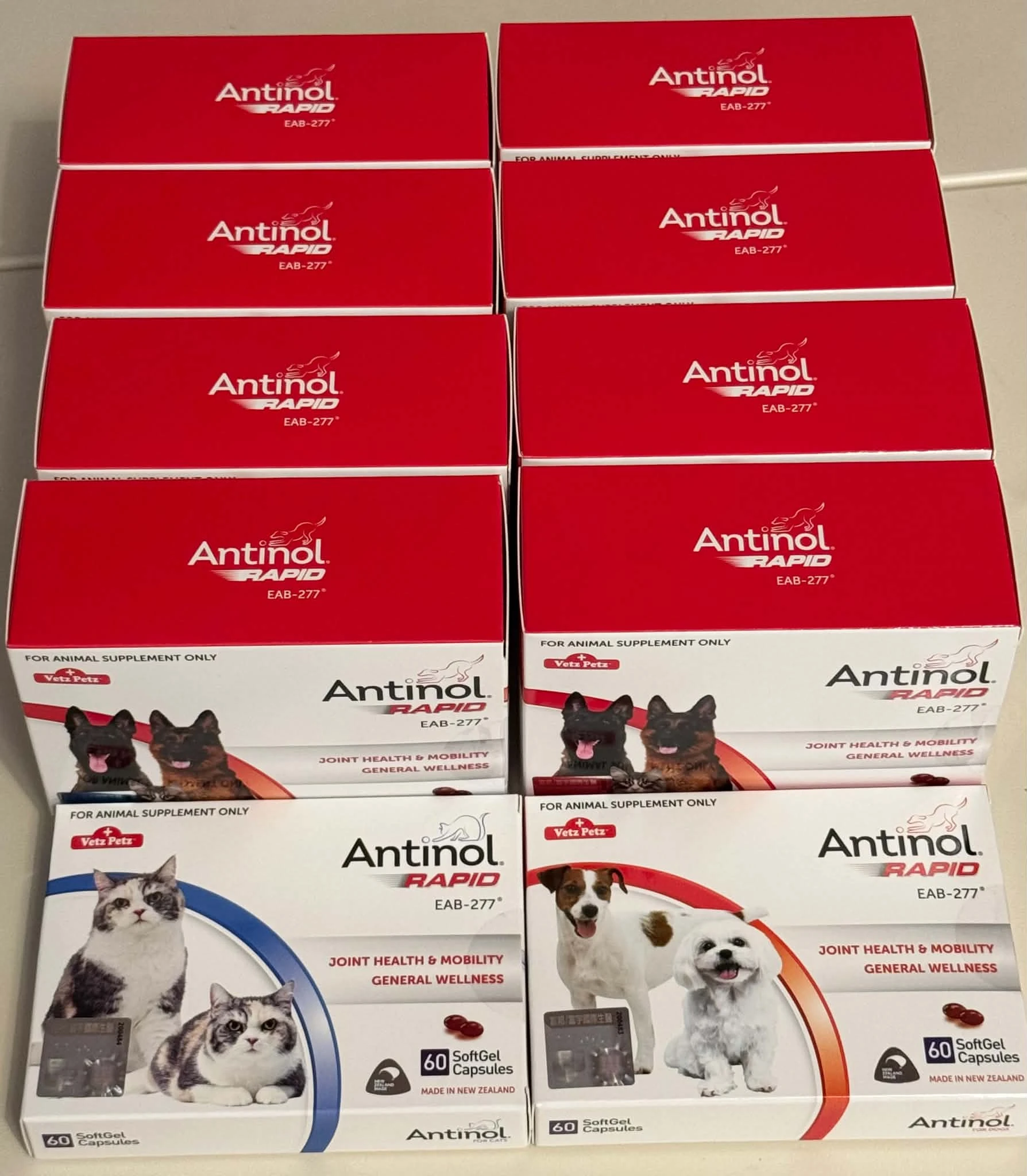 Antinol安適得 貓狗關節保健食品 兔鼠適用