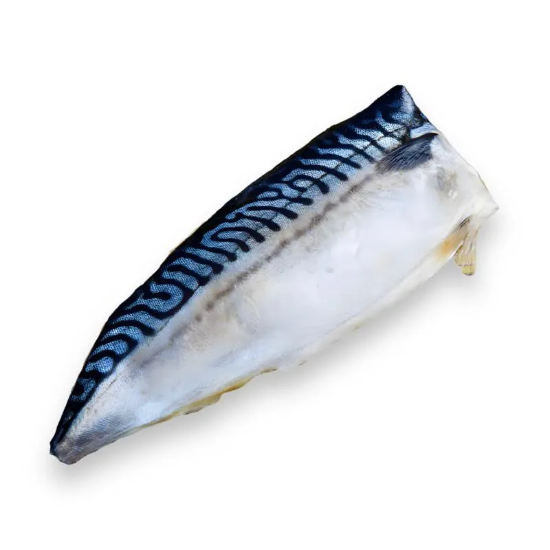 薄鹽鯖魚片