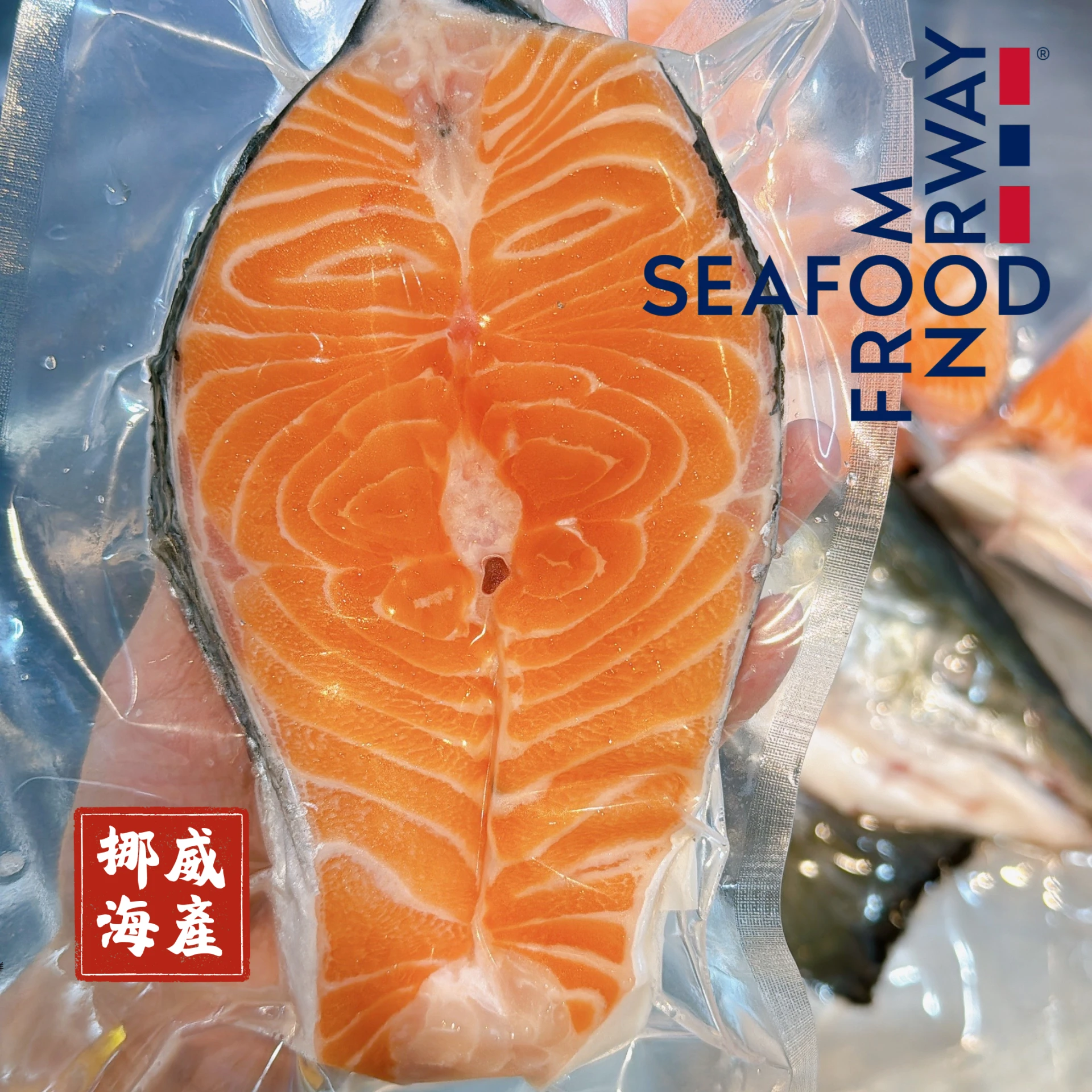 生鮮｜挪威輪切鮭魚