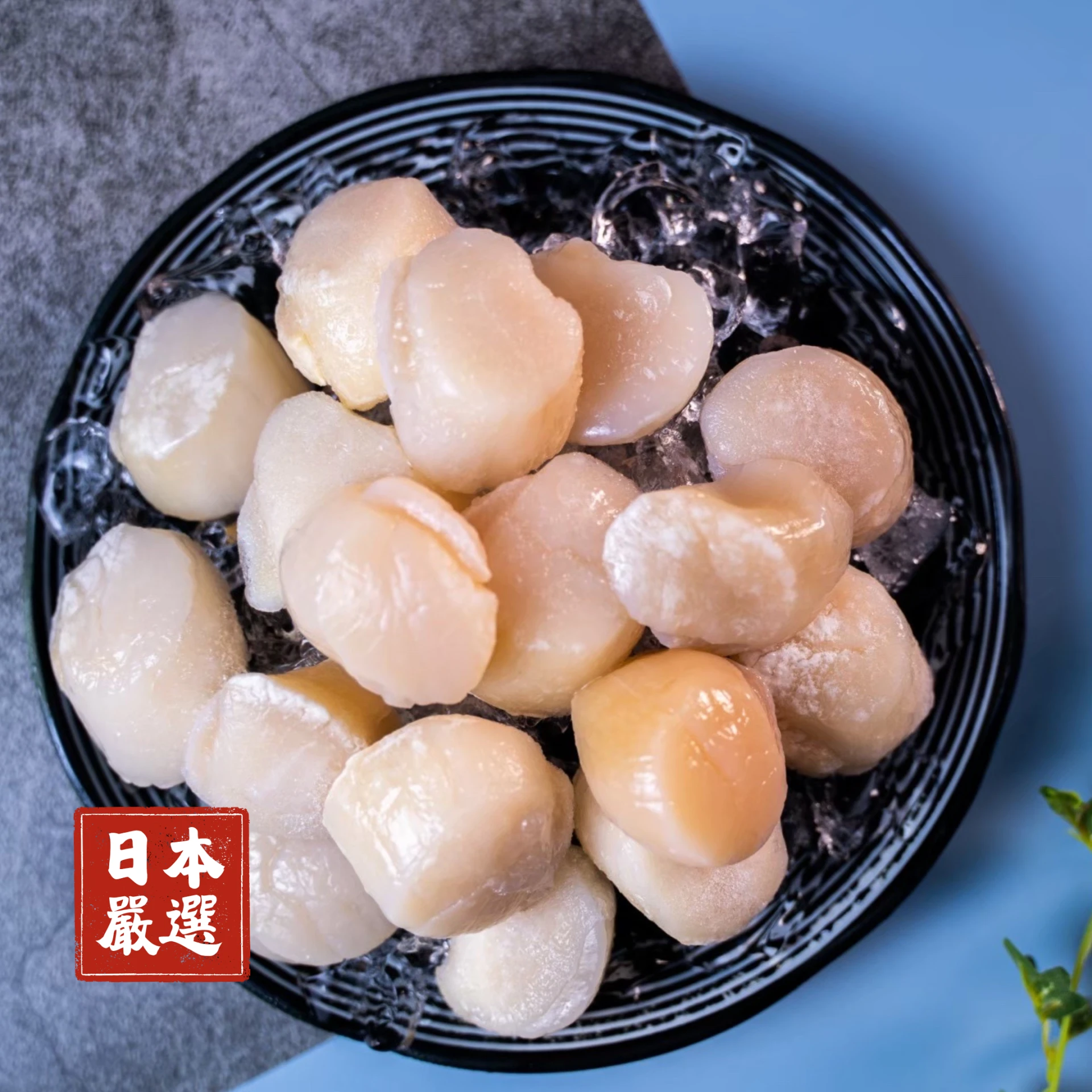生食級｜日本干貝3S