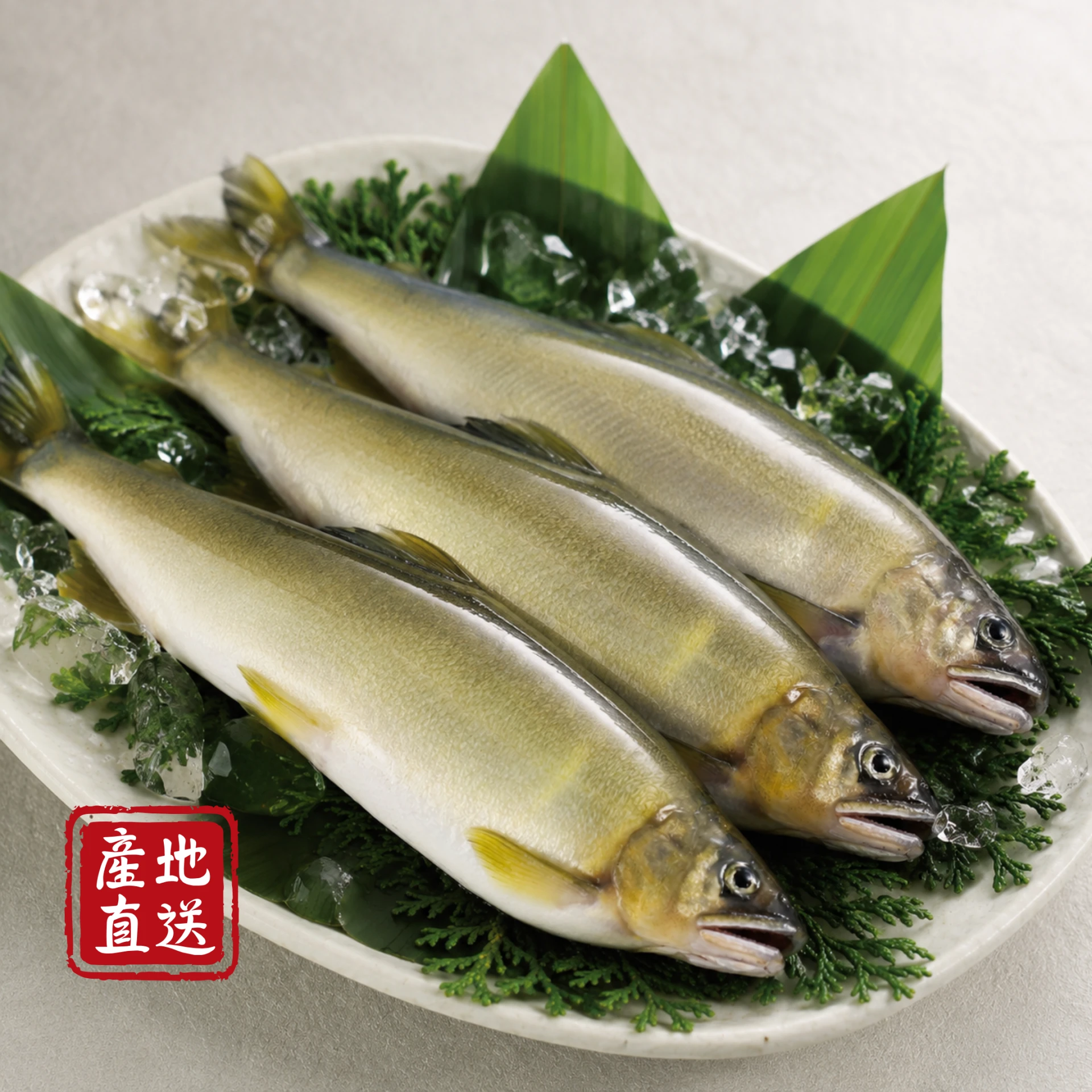 生鮮｜宜蘭母香魚