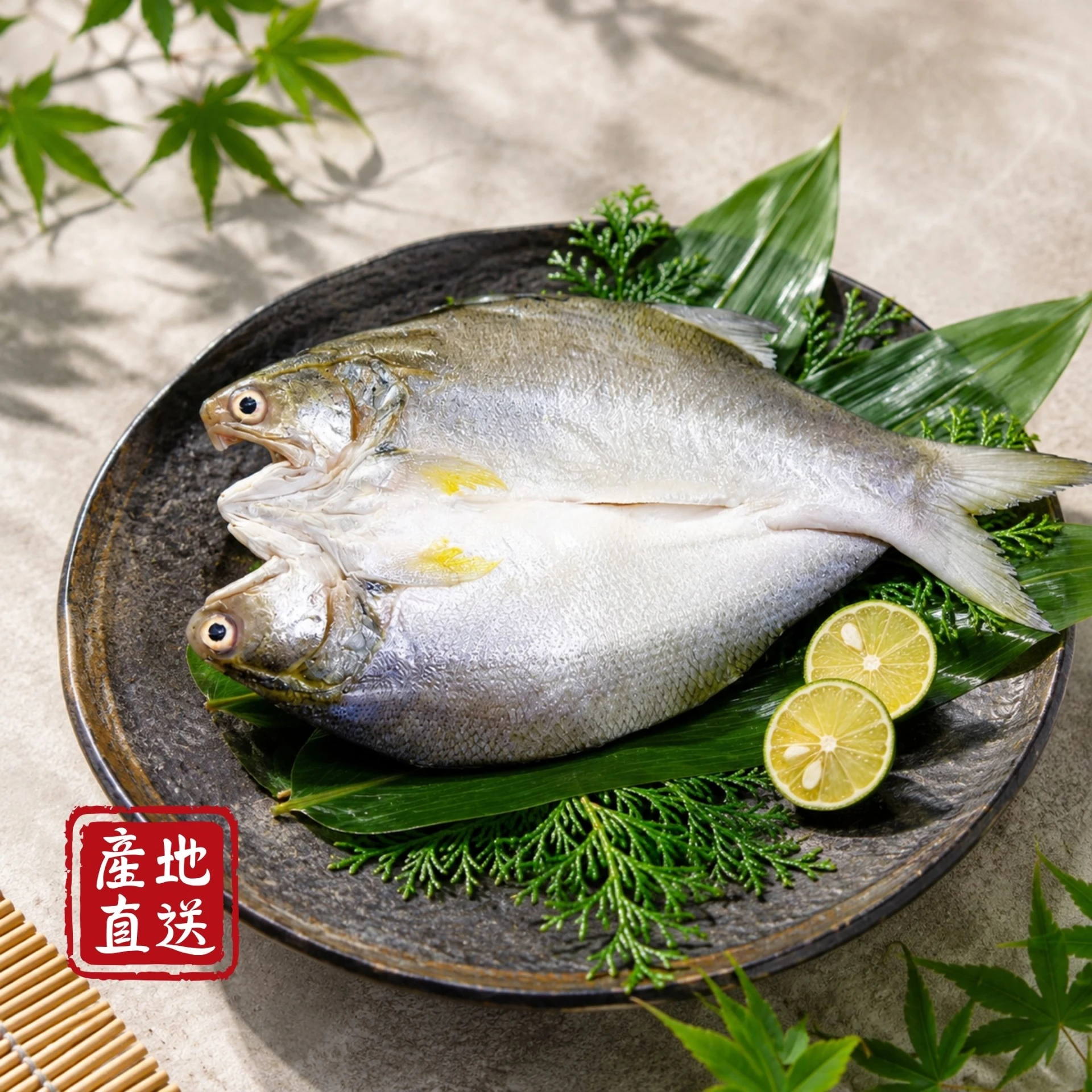 三去鮮魚｜午仔魚一夜干