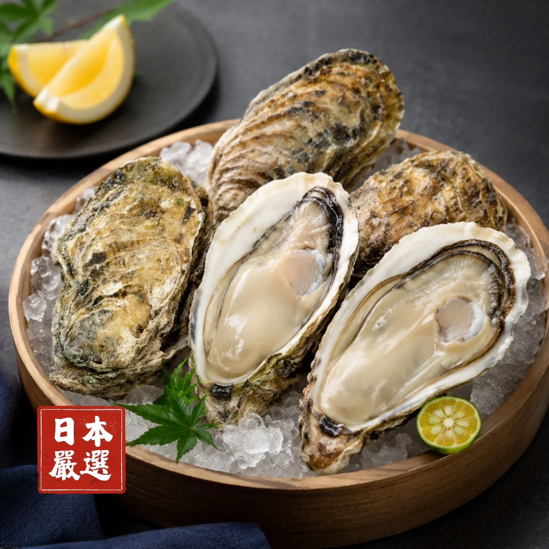 生食級｜北海道全殼生蠔【特大】5-6顆裝