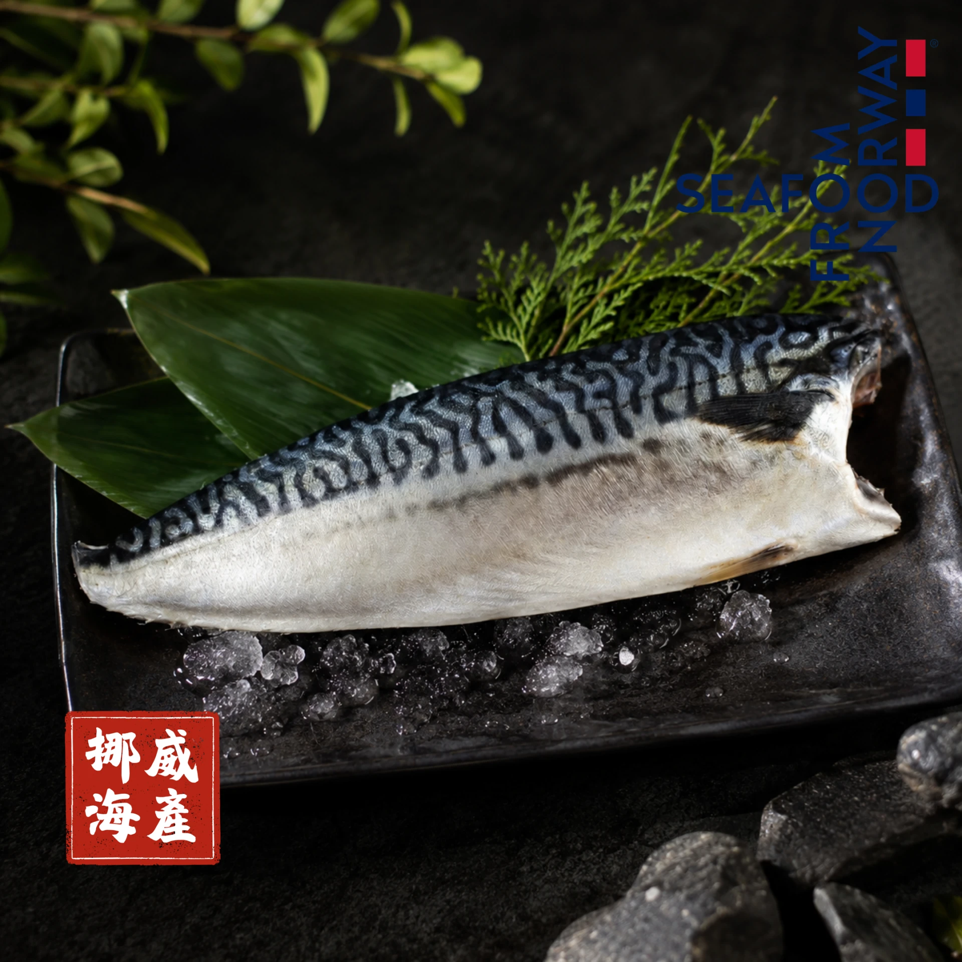 生鮮｜挪威鯖魚片（正鯖）