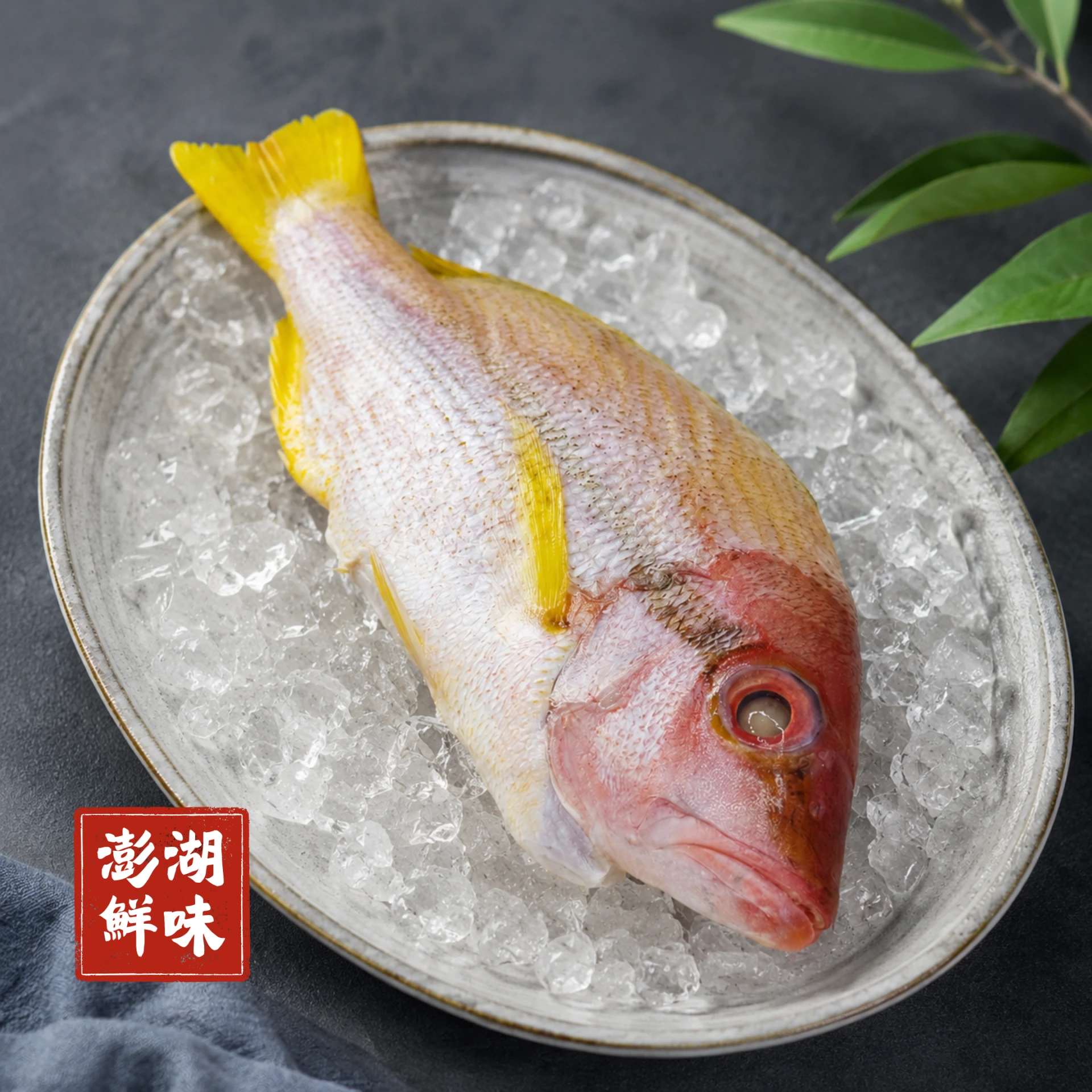 生鮮｜澎湖赤筆魚（赤筆仔）