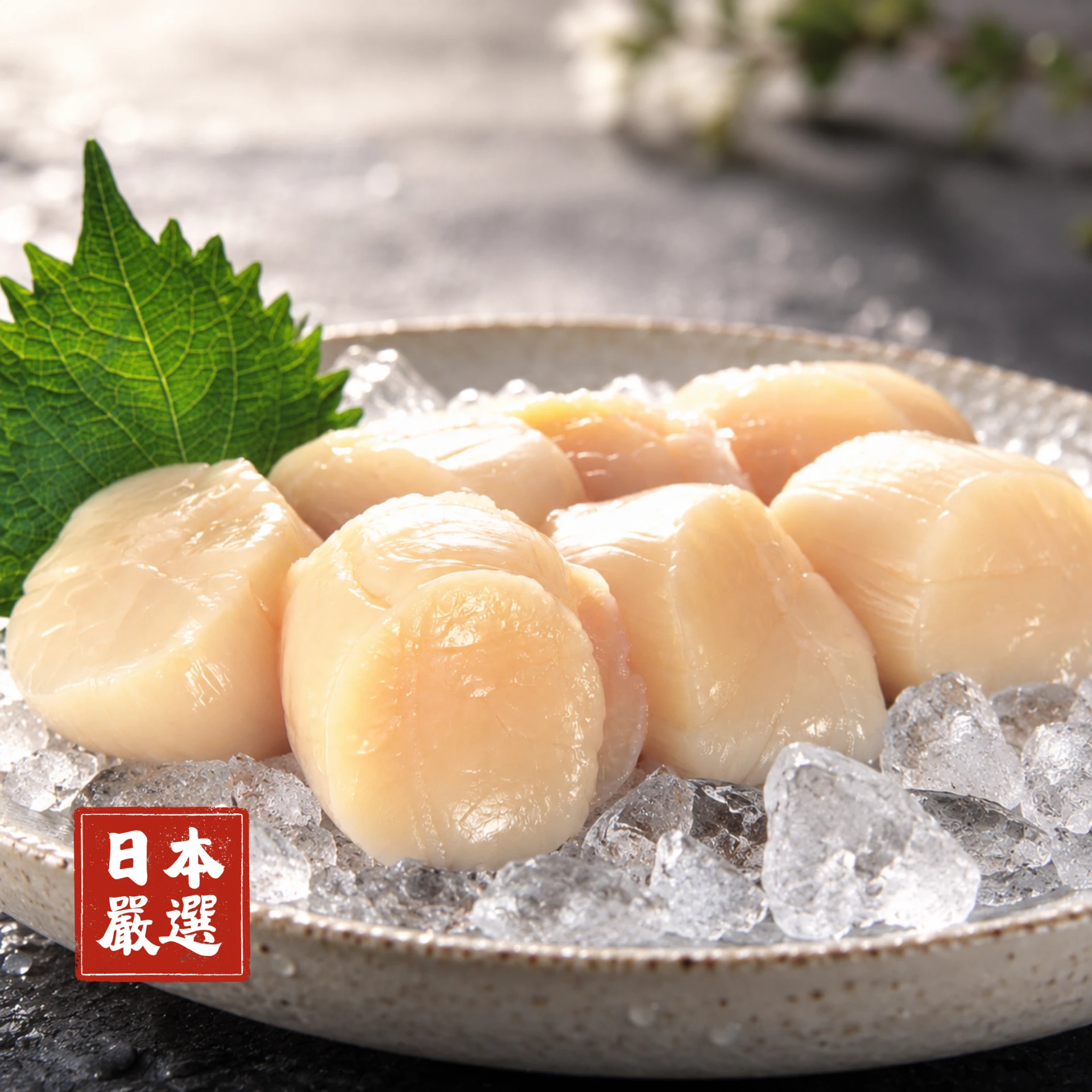 生食級｜日本干貝4S