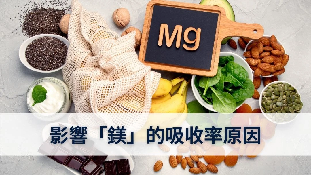 影響「鎂」的吸收率原因