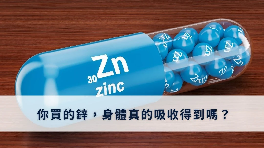 鋅的型態