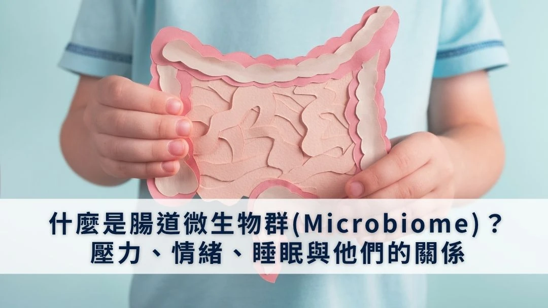 什麼是腸道微生物群