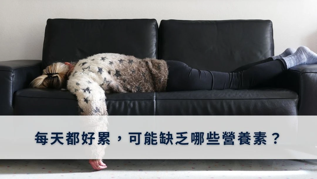每天都好累，可能缺乏哪些營養素？