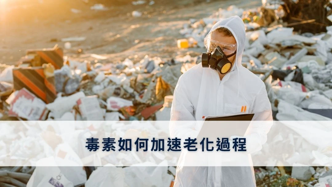 毒素如何加速老化過程