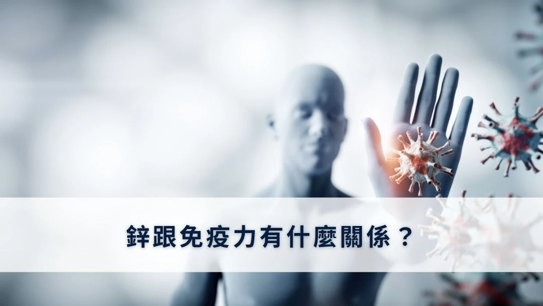 鋅跟免疫力有什麼關係？