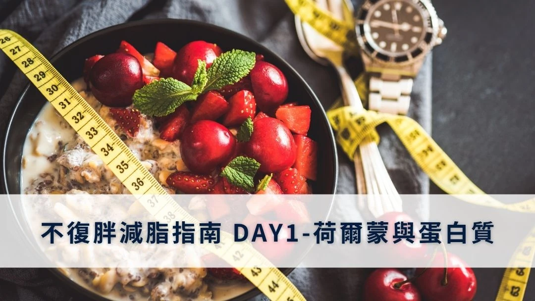 不復胖減脂指南 DAY1-荷爾蒙與蛋白質