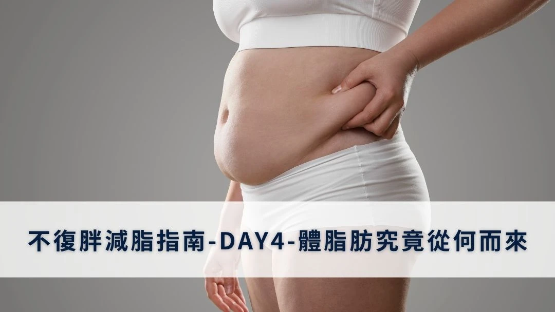 不復胖減脂指南-DAY4-體脂肪究竟從何而來