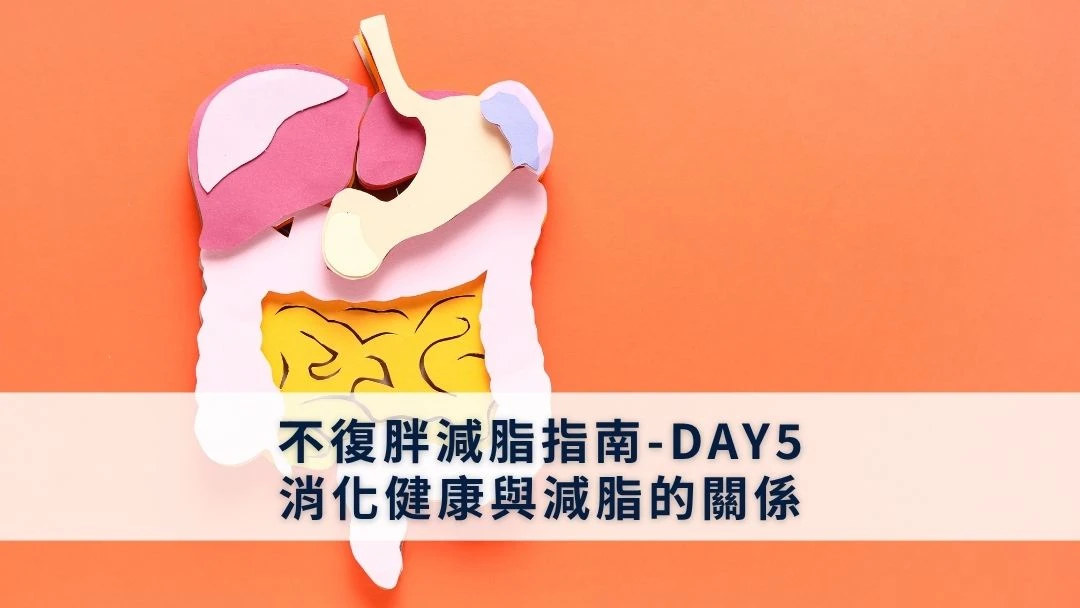 不復胖減脂指南-DAY5-消化健康與減脂的關係