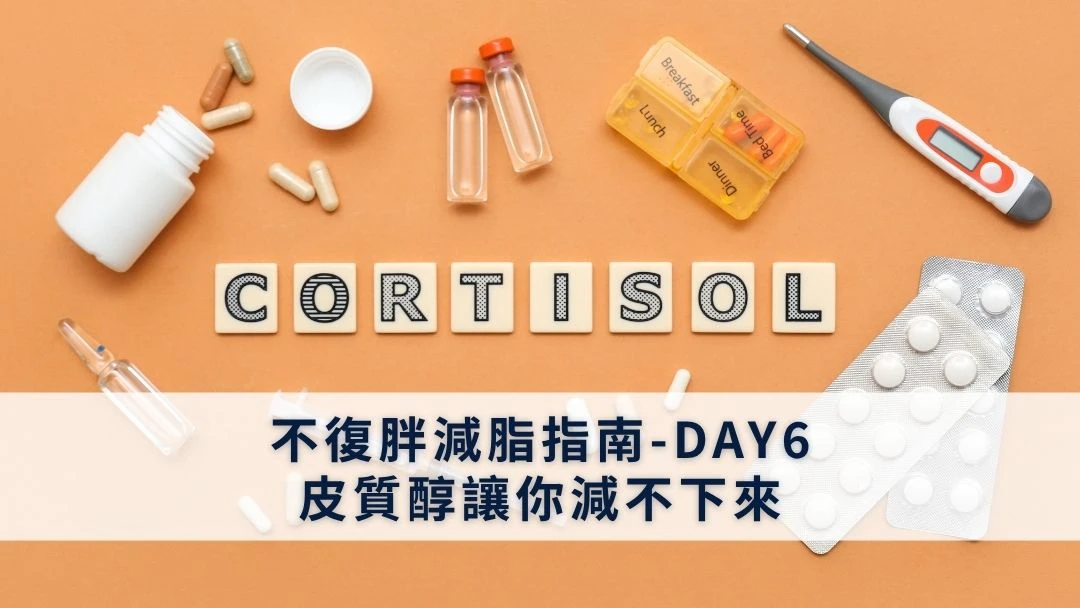 不復胖減脂指南-DAY6-皮質醇讓你減不下來