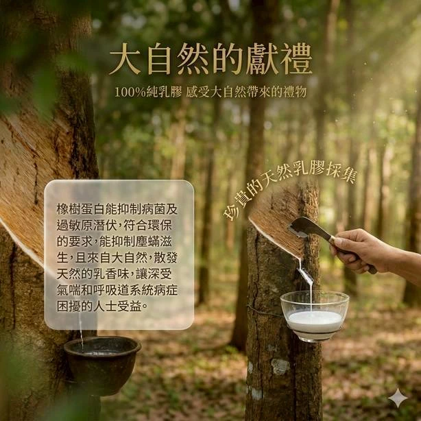 舒適曲線乳膠枕