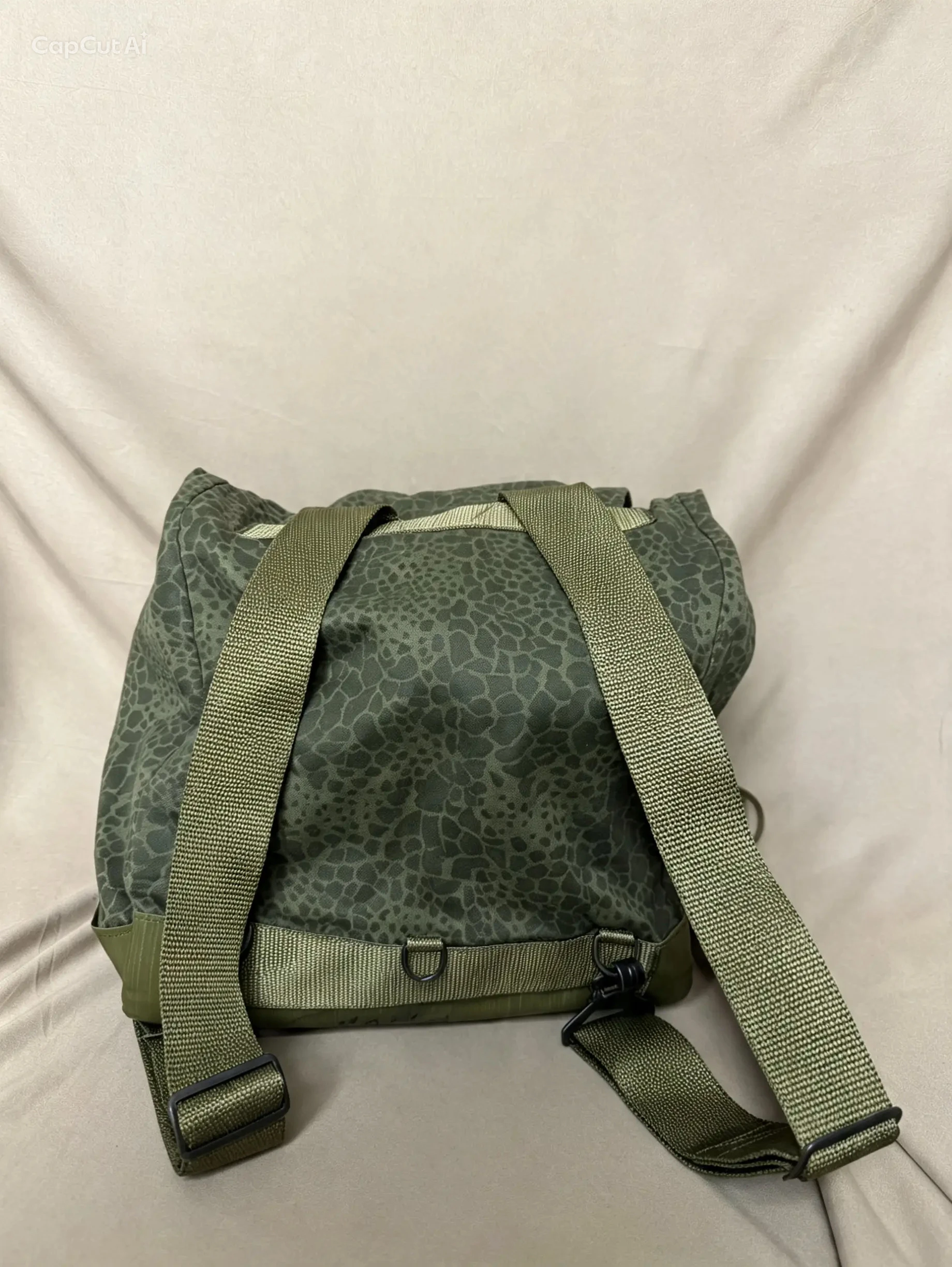 波蘭野戰軍包