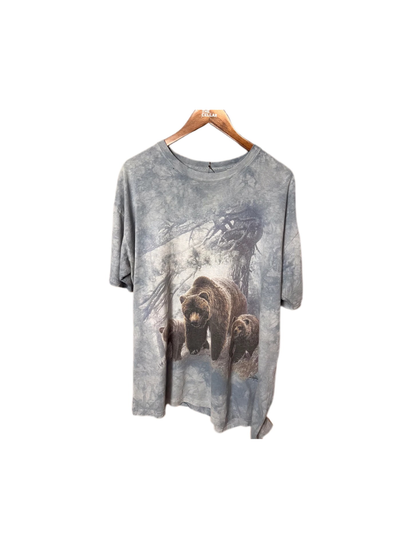 0811THE MOUNTAIN T