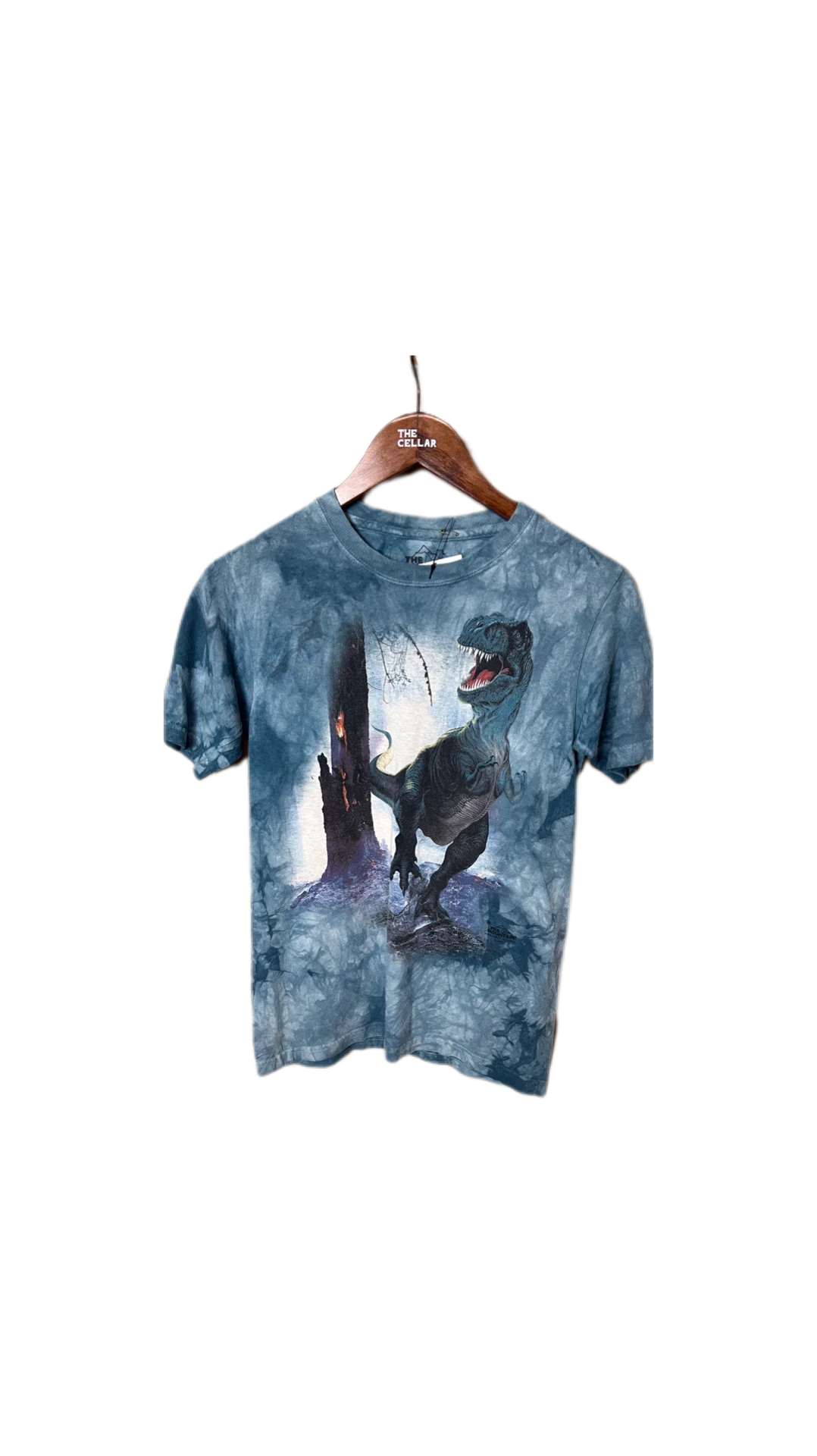 0811THE MOUNTAIN T