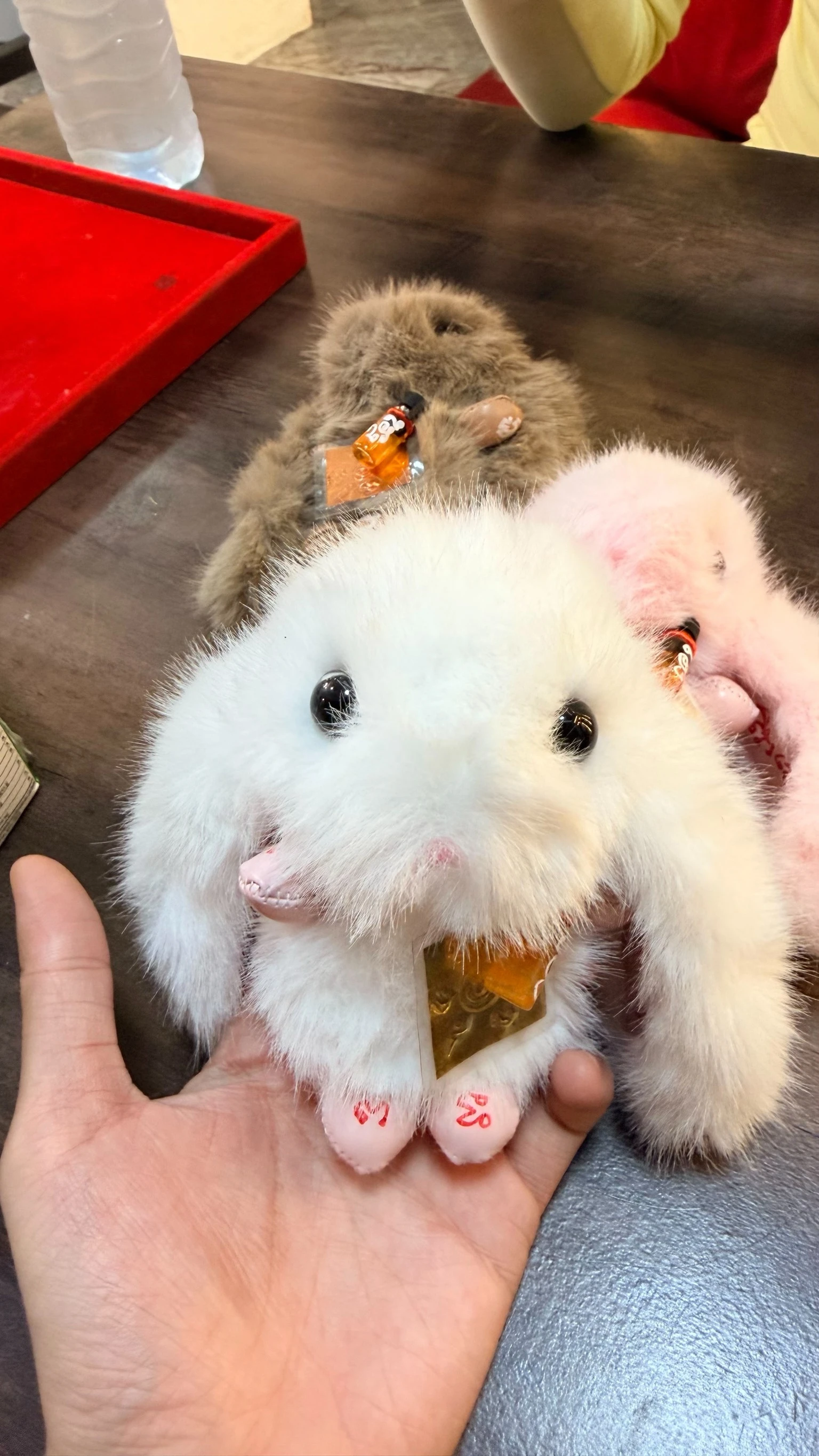 潘達親傳弟子-🐰法門 加速時間達成願望