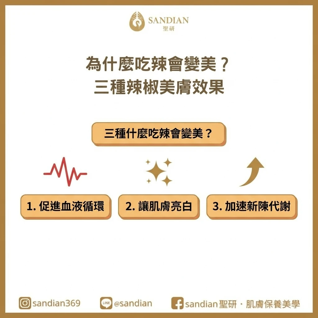 辣椒素對皮膚血液循環影響示意圖