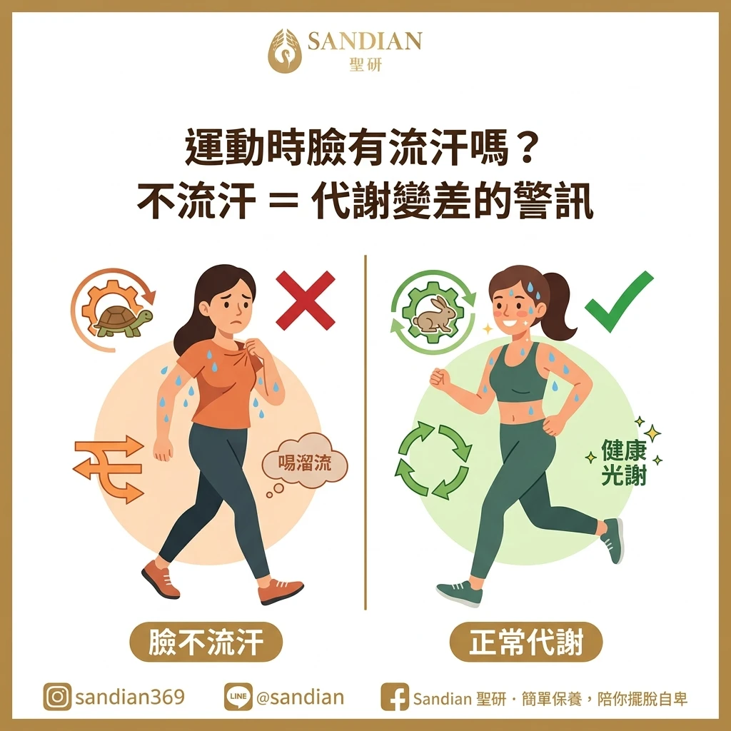 臉不流汗代表皮膚代謝變差