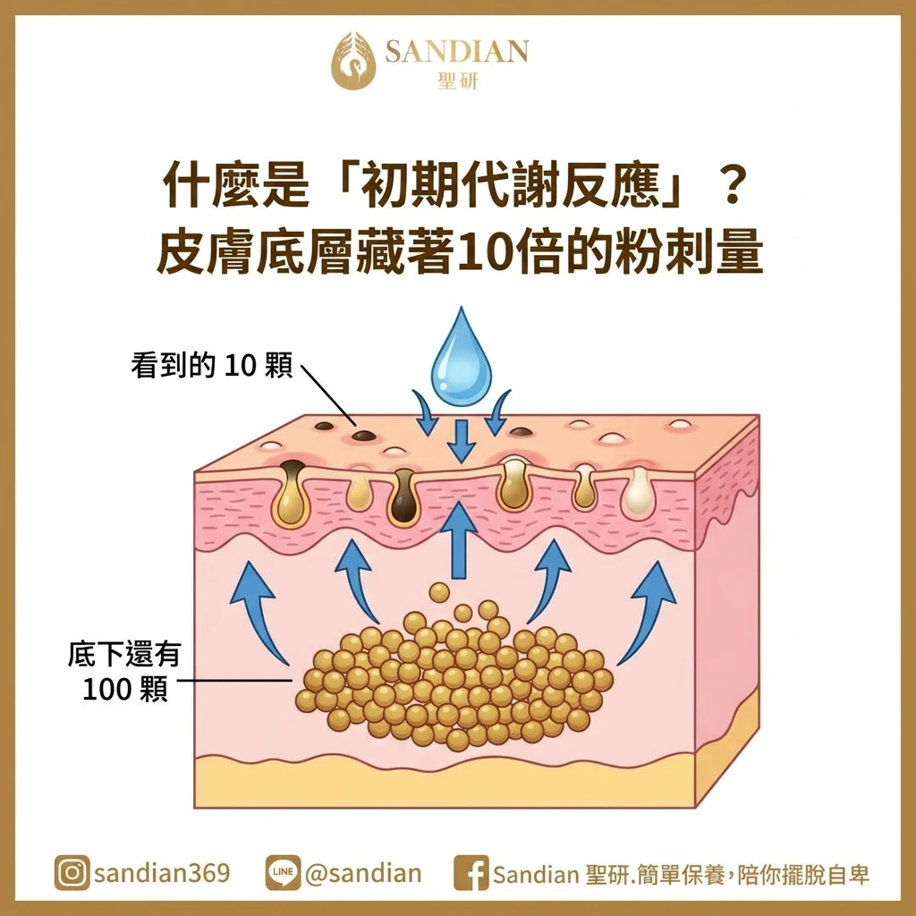 初期代謝反應