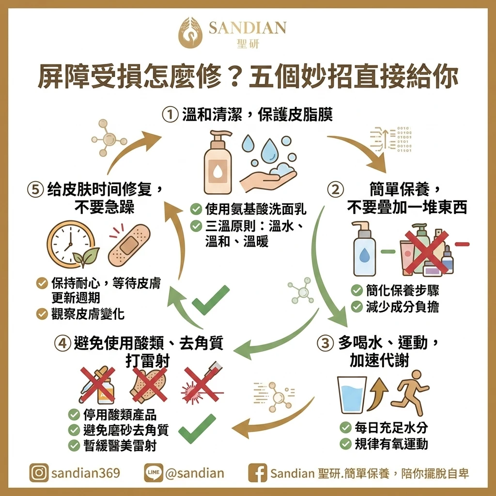 屏障受損怎麼修?五個妙招直接給你