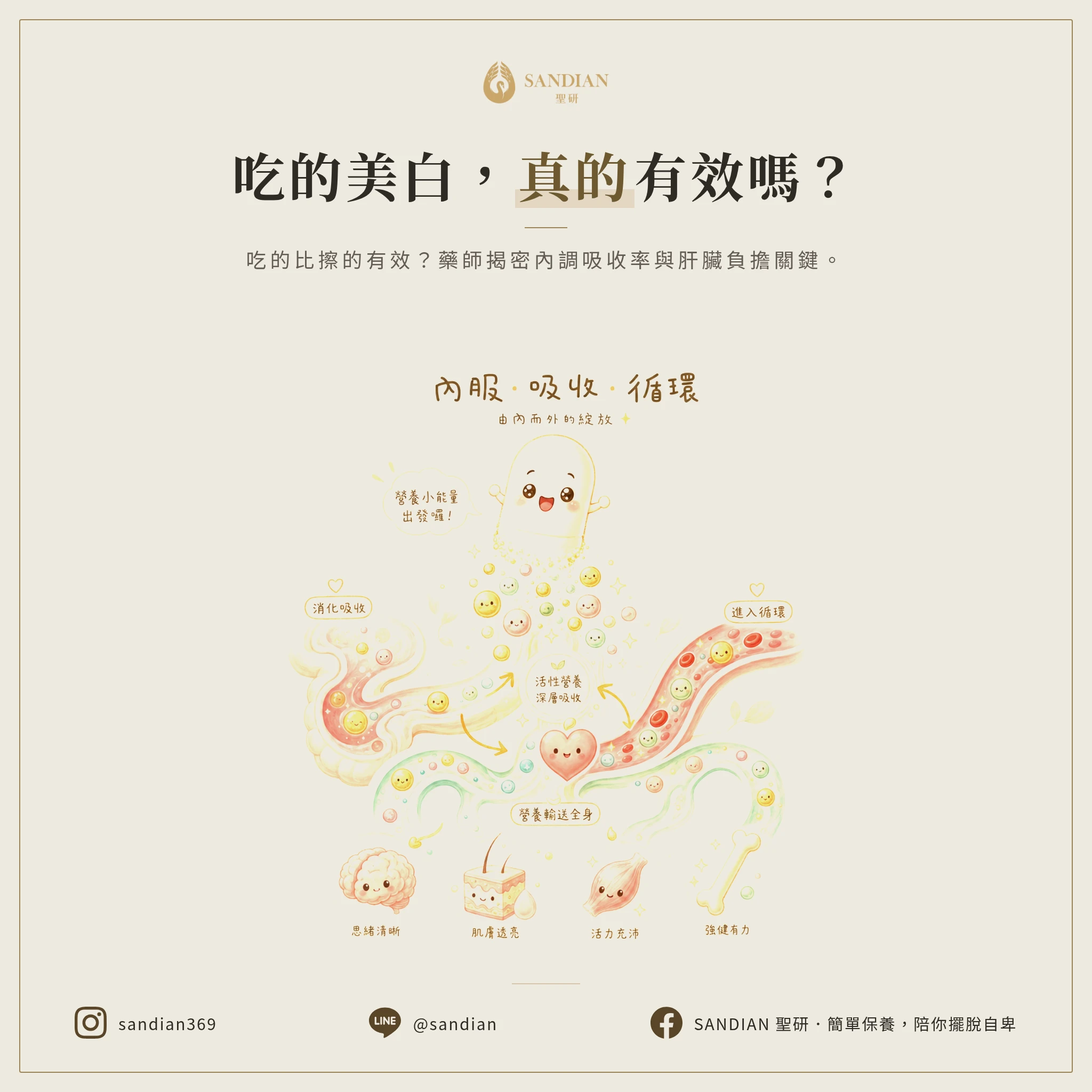 一、為什麼大家覺得「吃的比擦的有效」?