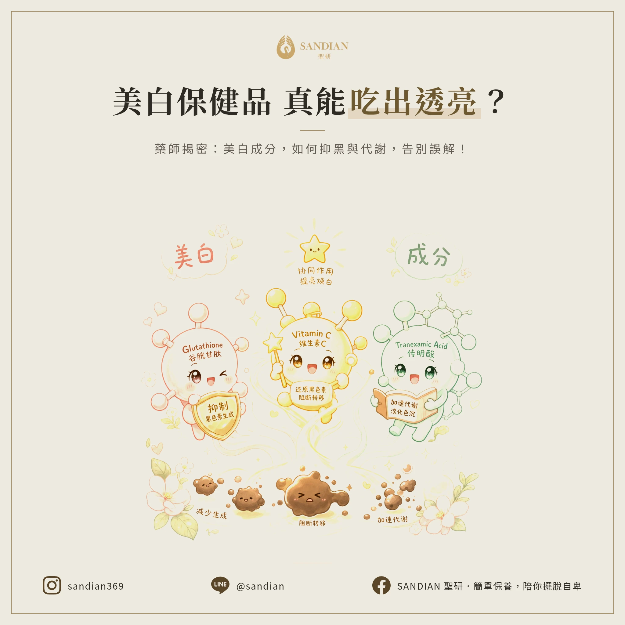 二、美白保健食品到底在美白什麼?