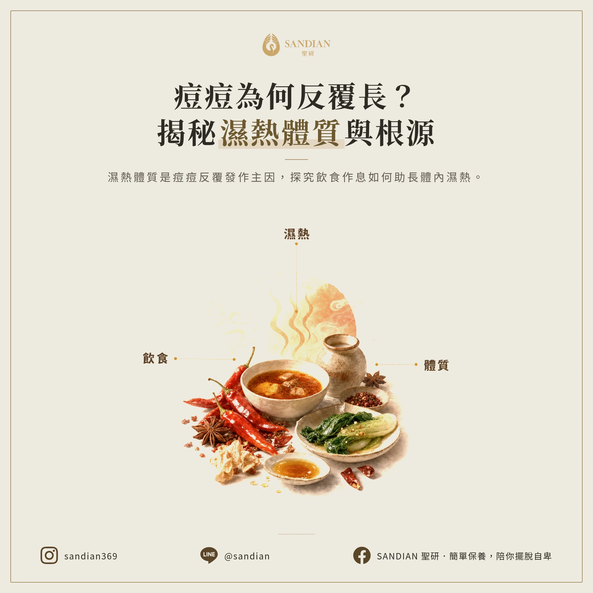 從飲食跟作息怎麼調整濕熱體質?