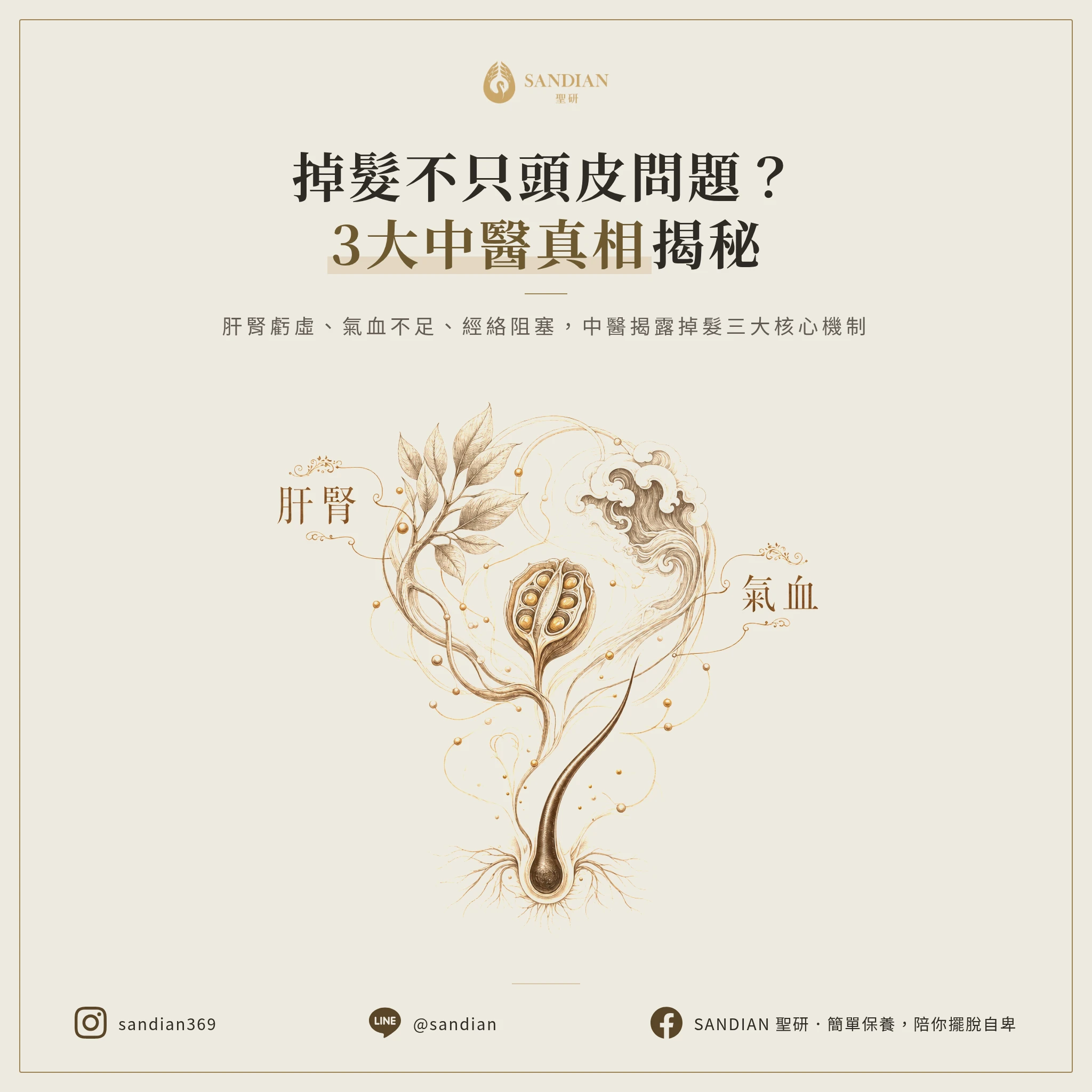 一、3大掉髮背後的中醫真相