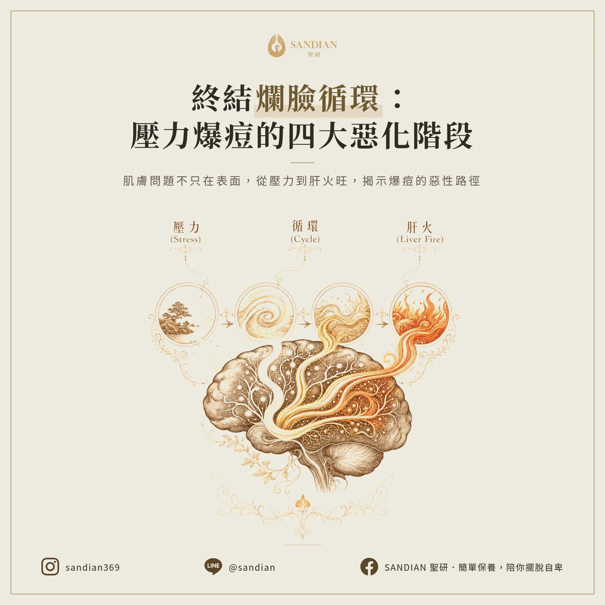 二、「肝火→壓力→失眠→爆痘」是怎麼串起來的?4 階段完整拆解