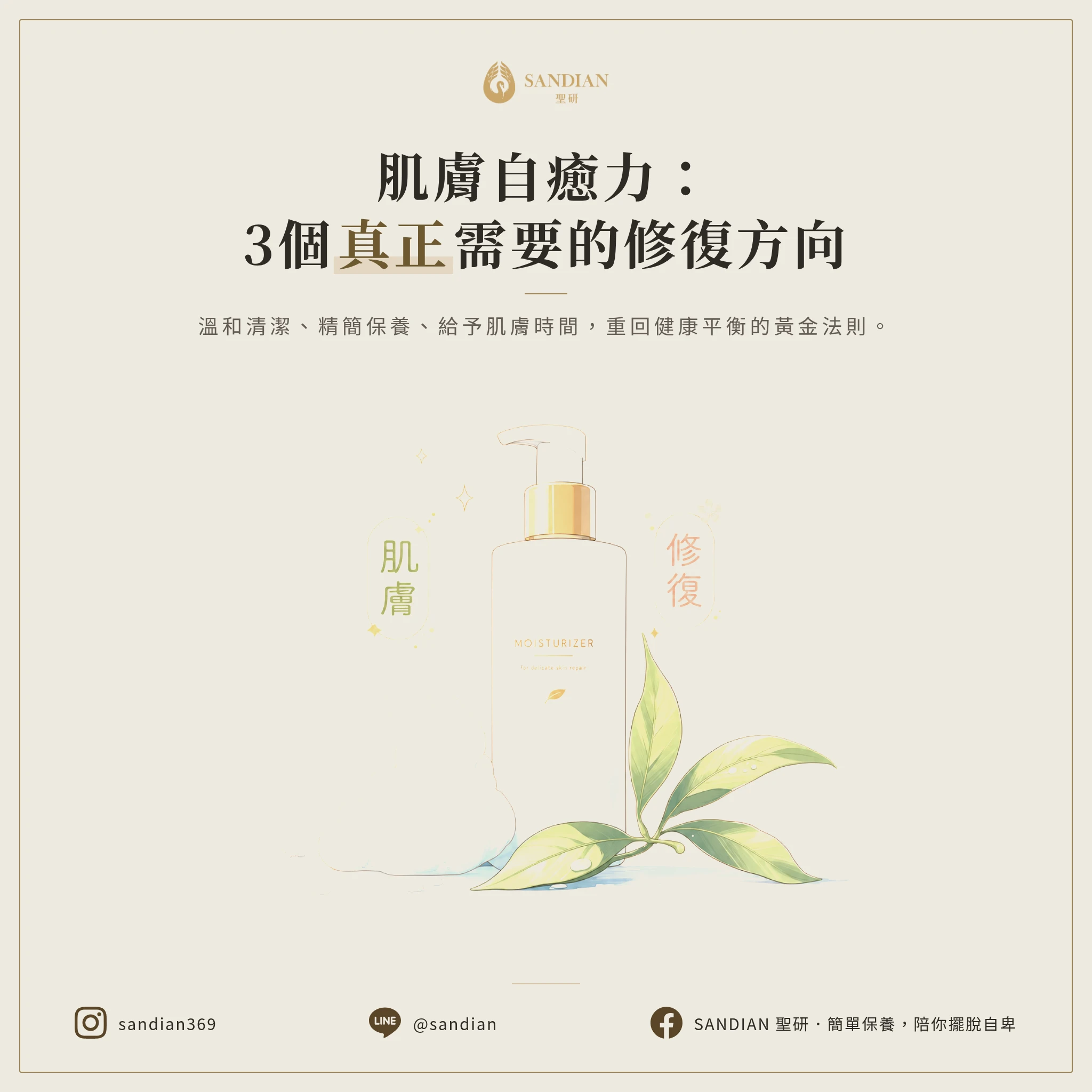 四、3 個皮膚真正需要的修復方向