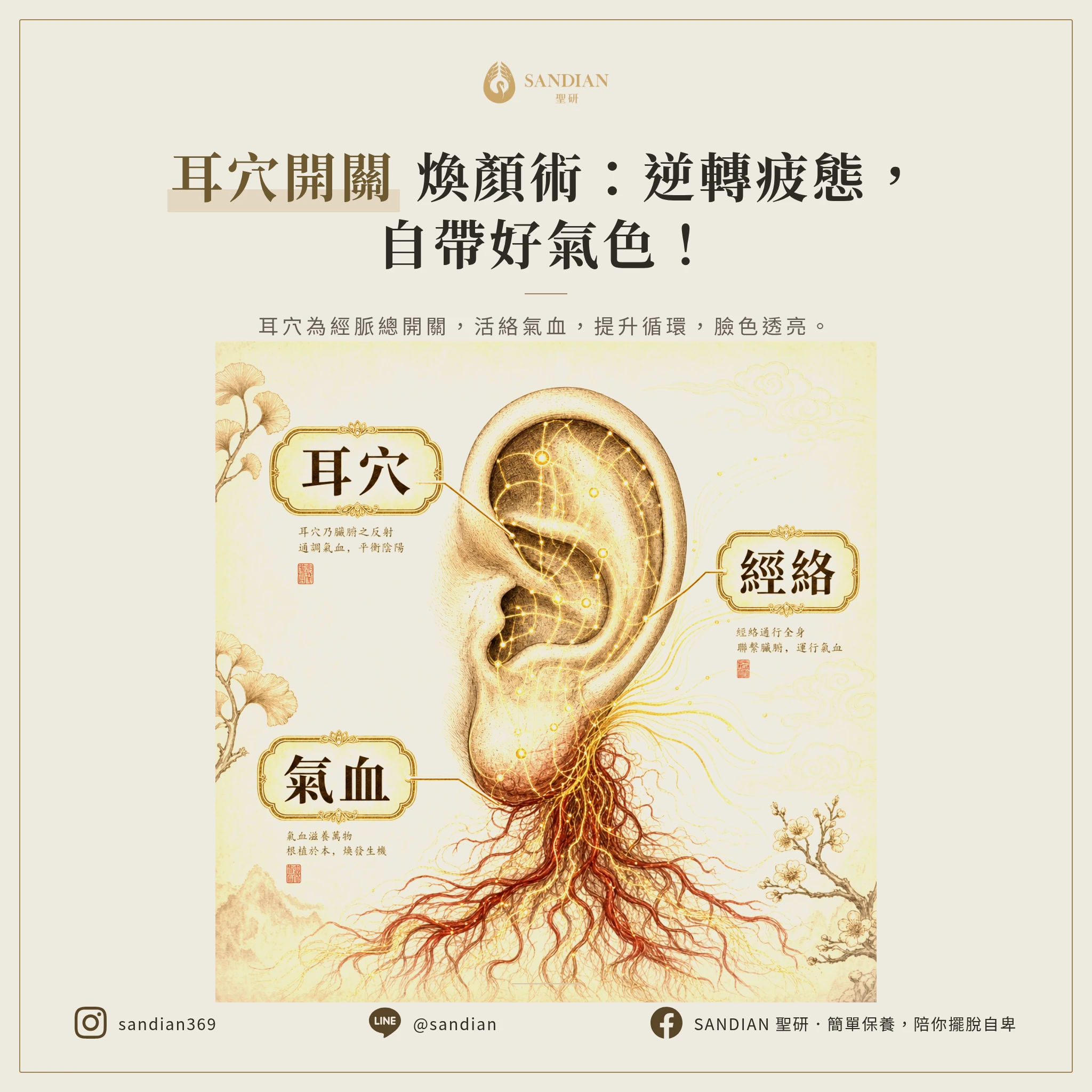 一、為什麼按耳朵能改善氣色?中醫的科學邏輯