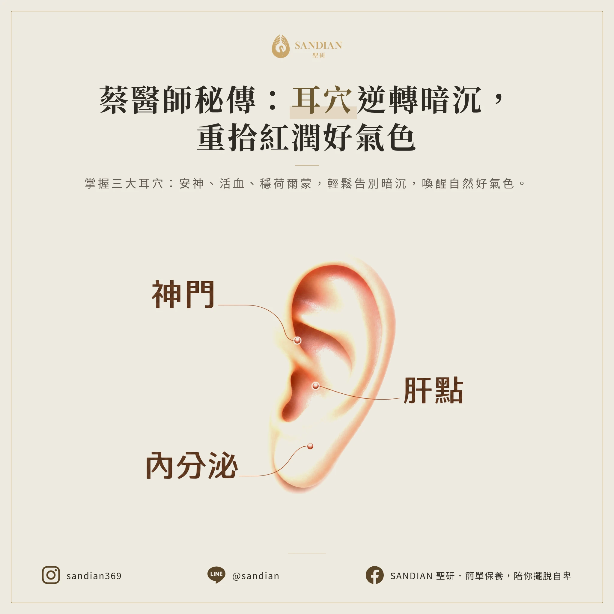 二、蔡馥謙醫師親授:三個最重要的耳朵穴位