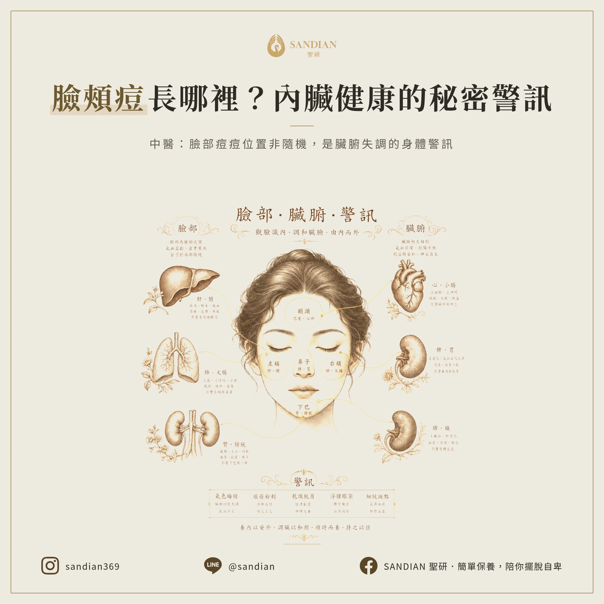 一、為什麼臉頰長痘痘的位置這麼重要?